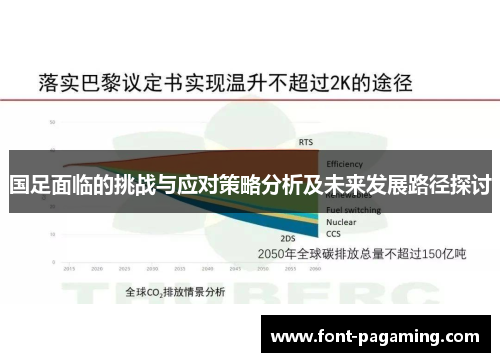 国足面临的挑战与应对策略分析及未来发展路径探讨