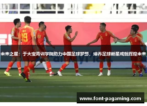 未来之星：于大宝青训学院助力中国足球梦想，培养足球新星成就辉煌未来