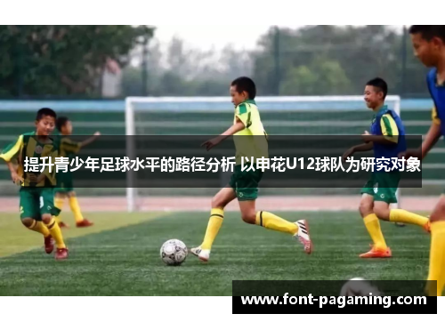 提升青少年足球水平的路径分析 以申花U12球队为研究对象 提升青少年足球水平的路径分析 以申花U12球队为研究对象