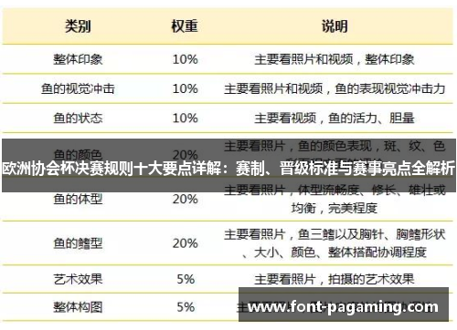 欧洲协会杯决赛规则十大要点详解：赛制、晋级标准与赛事亮点全解析
