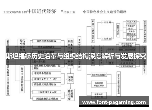 斯坦福桥历史沿革与组织结构深度解析与发展探究