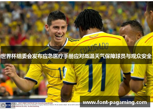 世界杯组委会发布应急医疗手册应对高温天气保障球员与观众安全